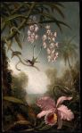 M.J.Heade Orchids
