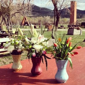 Vases and Visiting Artist month at The Archie Bray Foundation