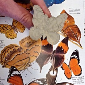 Kristen Kieffer Monarch butterfly stamp